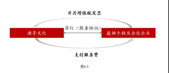 从薇娅偷税案看2022年税务征管趋势-税讯-热点税讯-税智星专业信息库